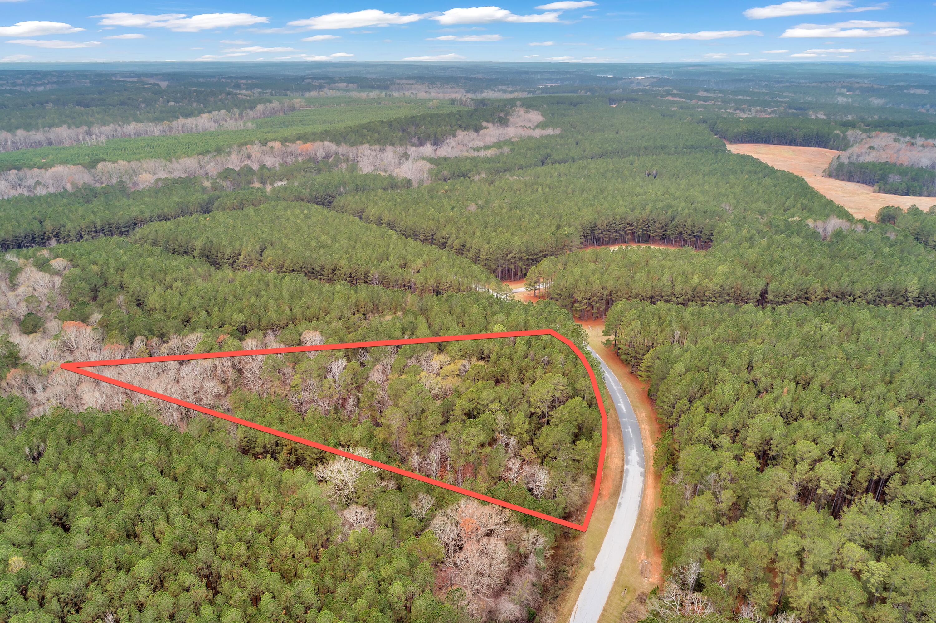 1252 Rogers Road Tignall, GA 30668 - Photo 19 of 29 1252 Rogers Rd, 400ft View, Drone-2-Lot