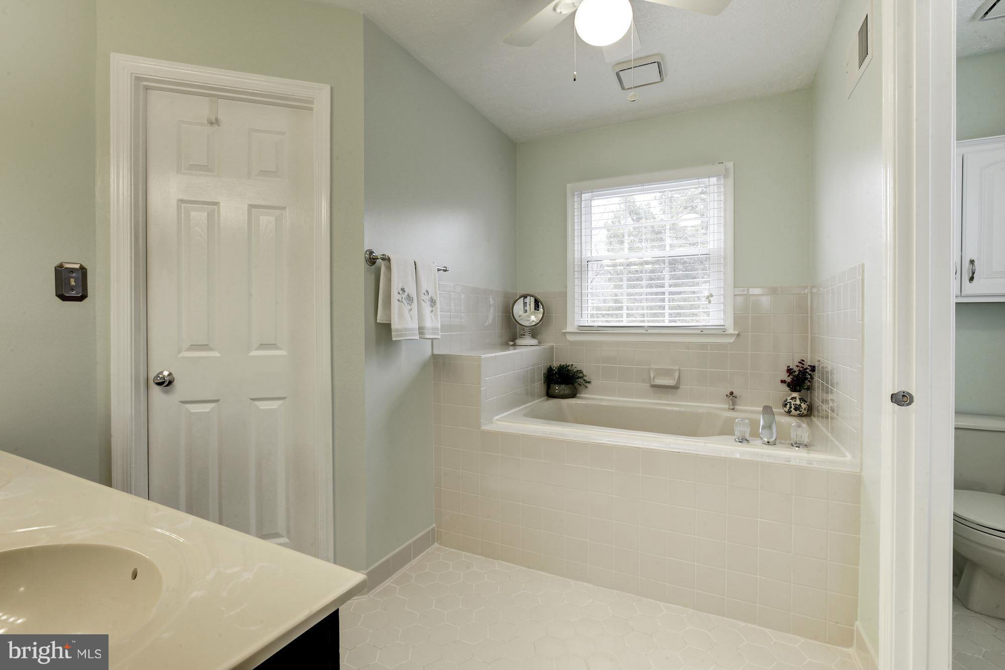 10403 Labrador Loop Manassas, VA 20112 - Photo 21 of 29 Bath (Master)