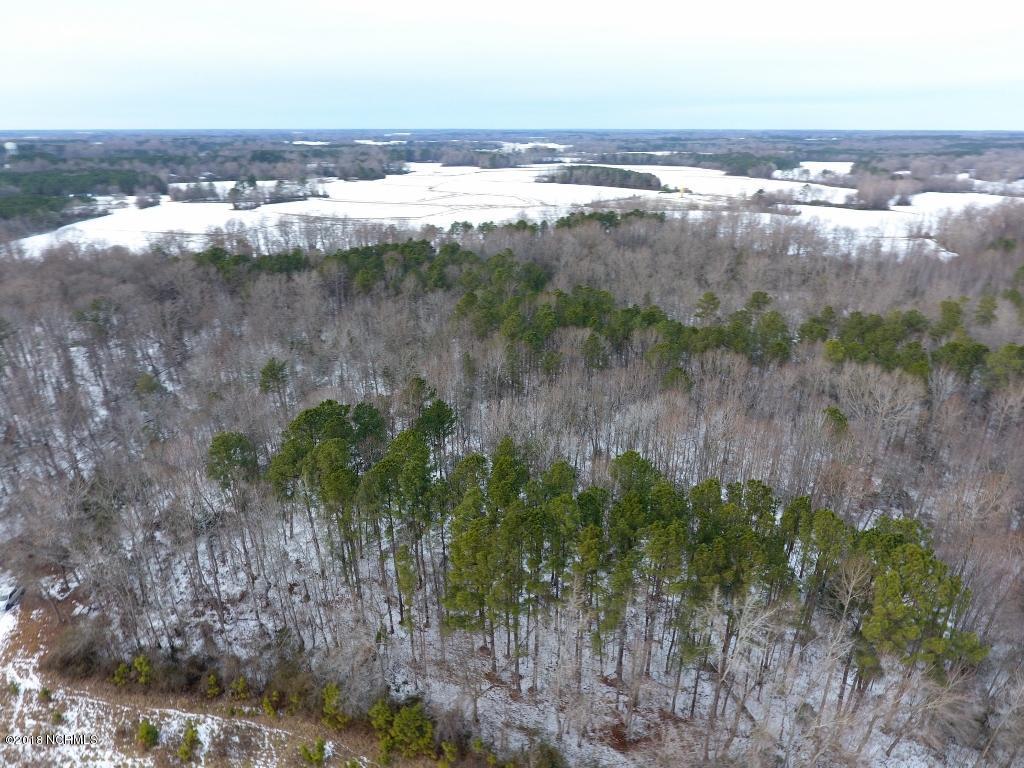 26.89 Bynum Farm Road Pinetops, NC 27864 - Photo 9 of 43 9 (1024x768)
