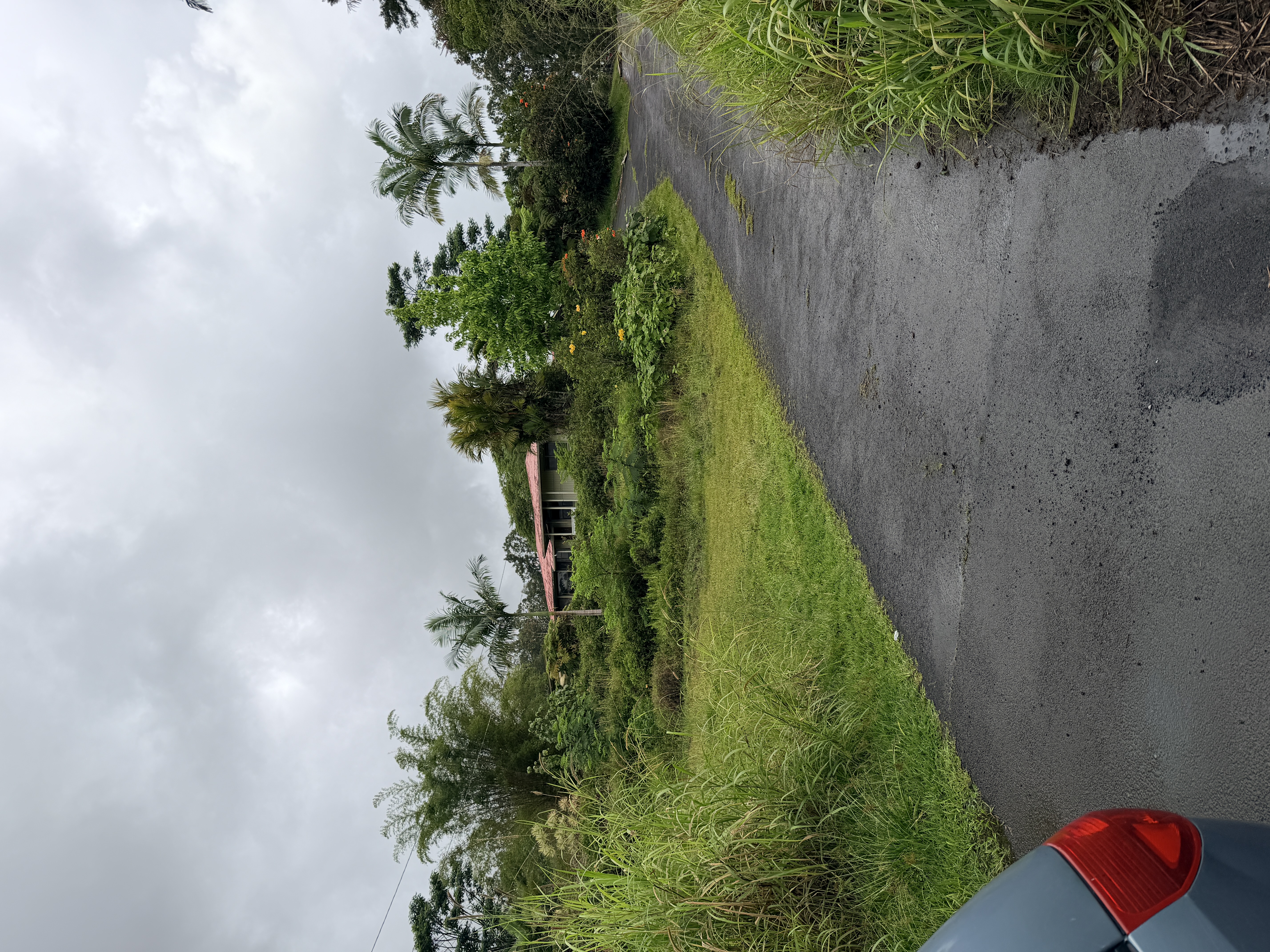 17-842 Volcano Road Kurtistown, HI 96760 - Photo 12 of 19