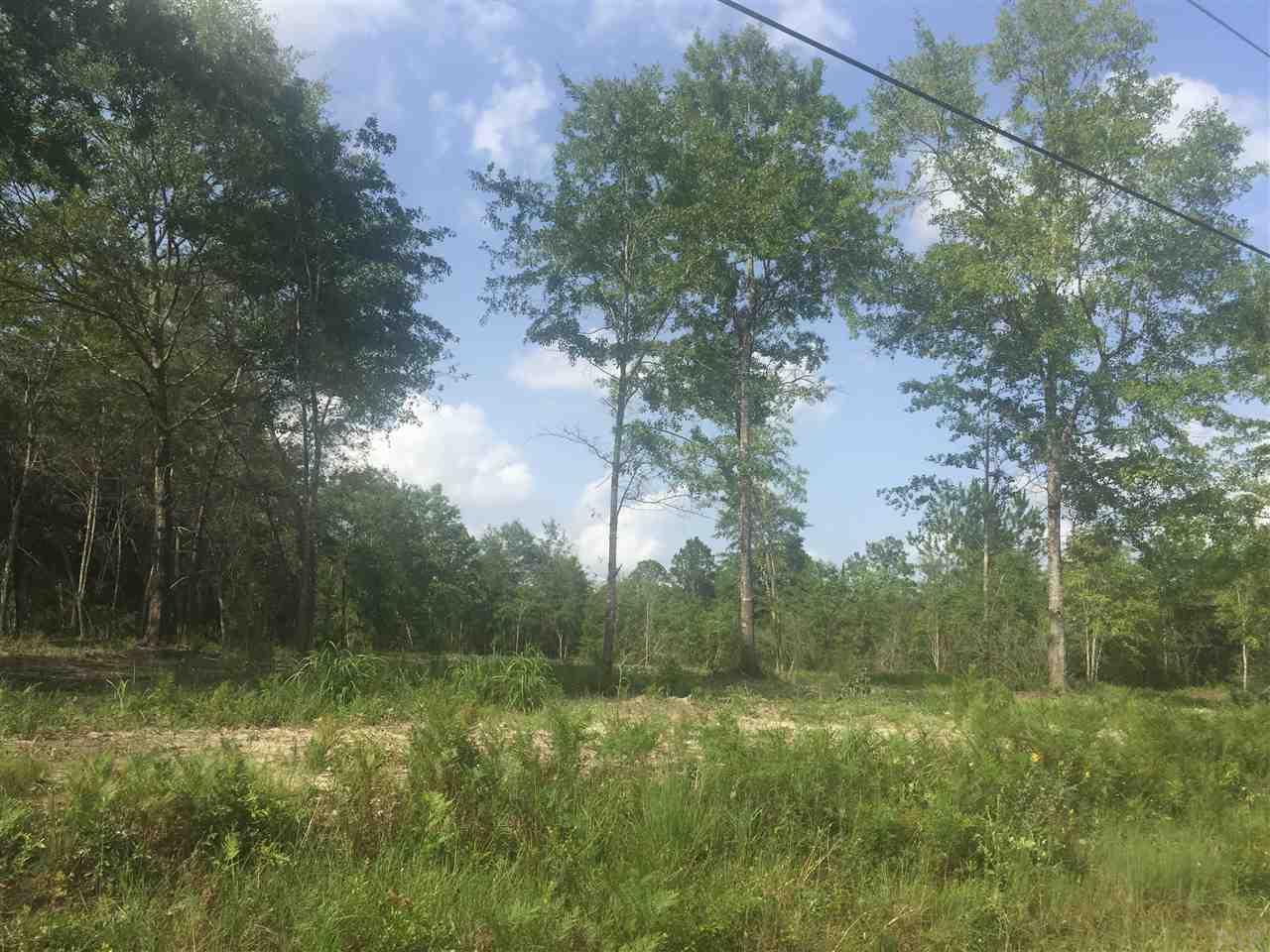 4.73-acres Martin Road Milton, FL 32570 - Photo 11 of 14 Gallery Image 11