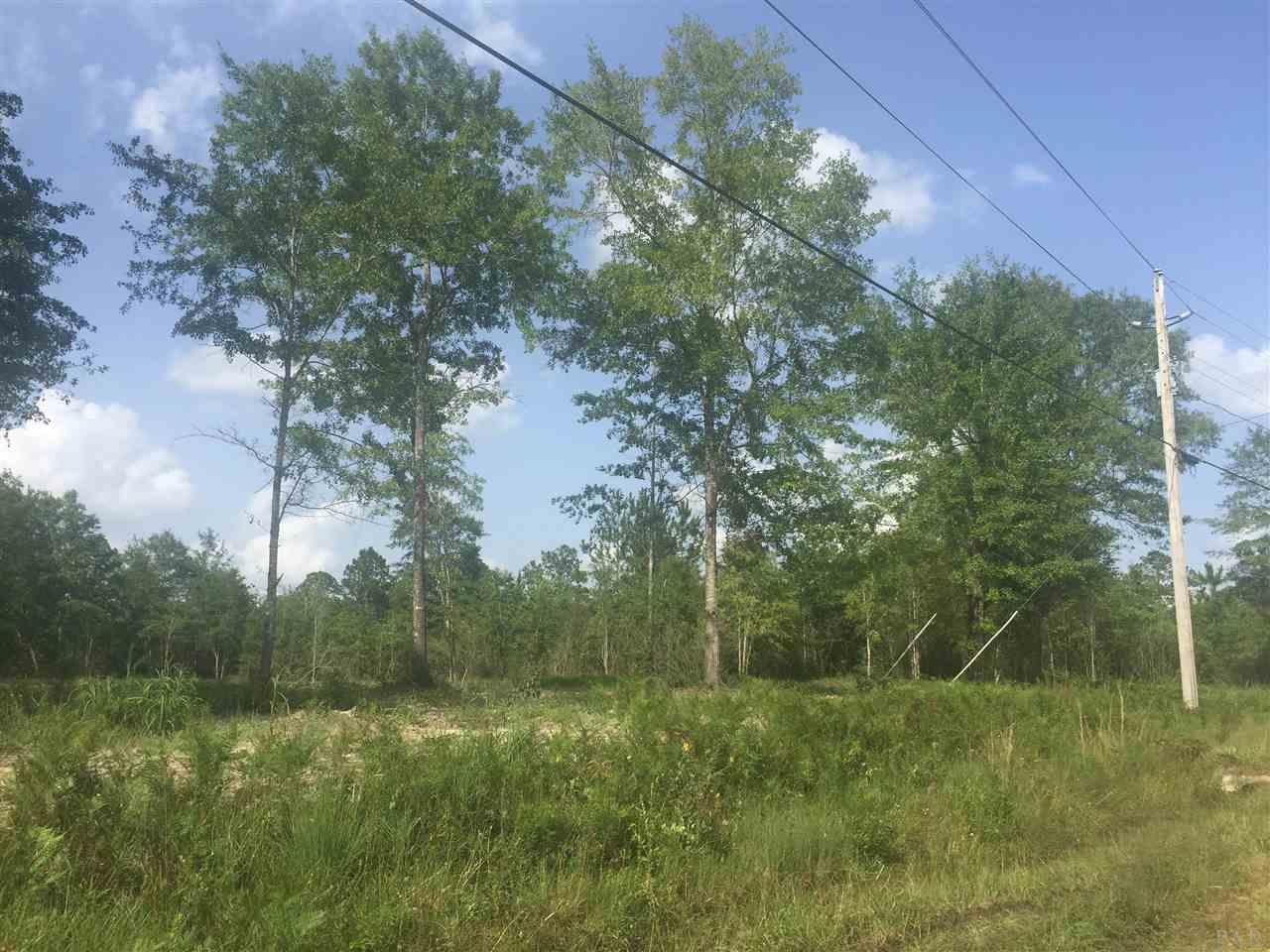 4.73-acres Martin Road Milton, FL 32570 - Photo 13 of 14 Gallery Image 13