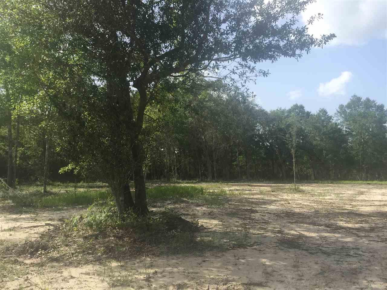 4.73-acres Martin Road Milton, FL 32570 - Photo 5 of 14 Gallery Image 5