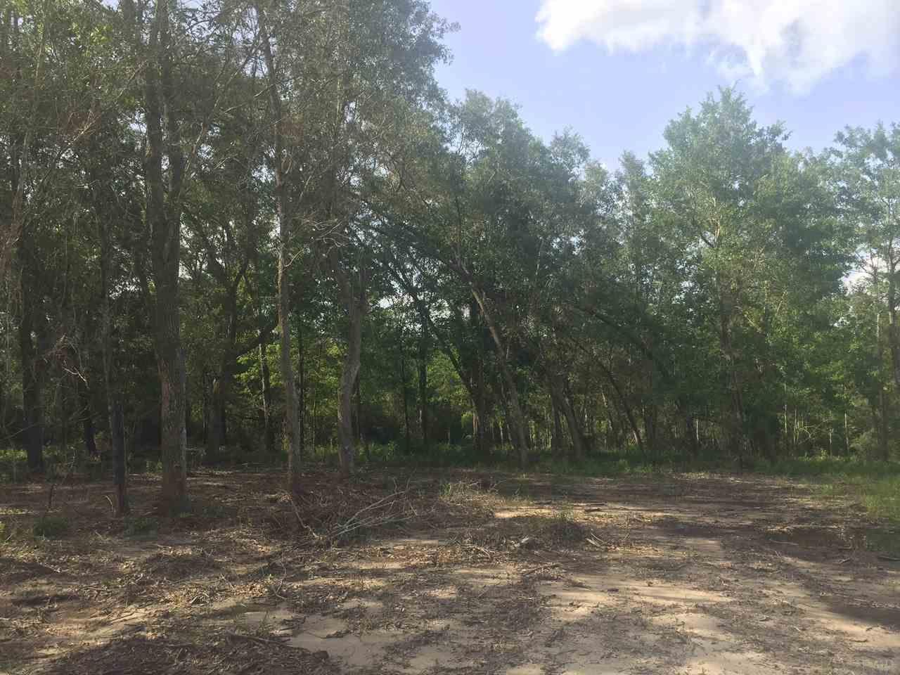 4.73-acres Martin Road Milton, FL 32570 - Photo 6 of 14 Gallery Image 6