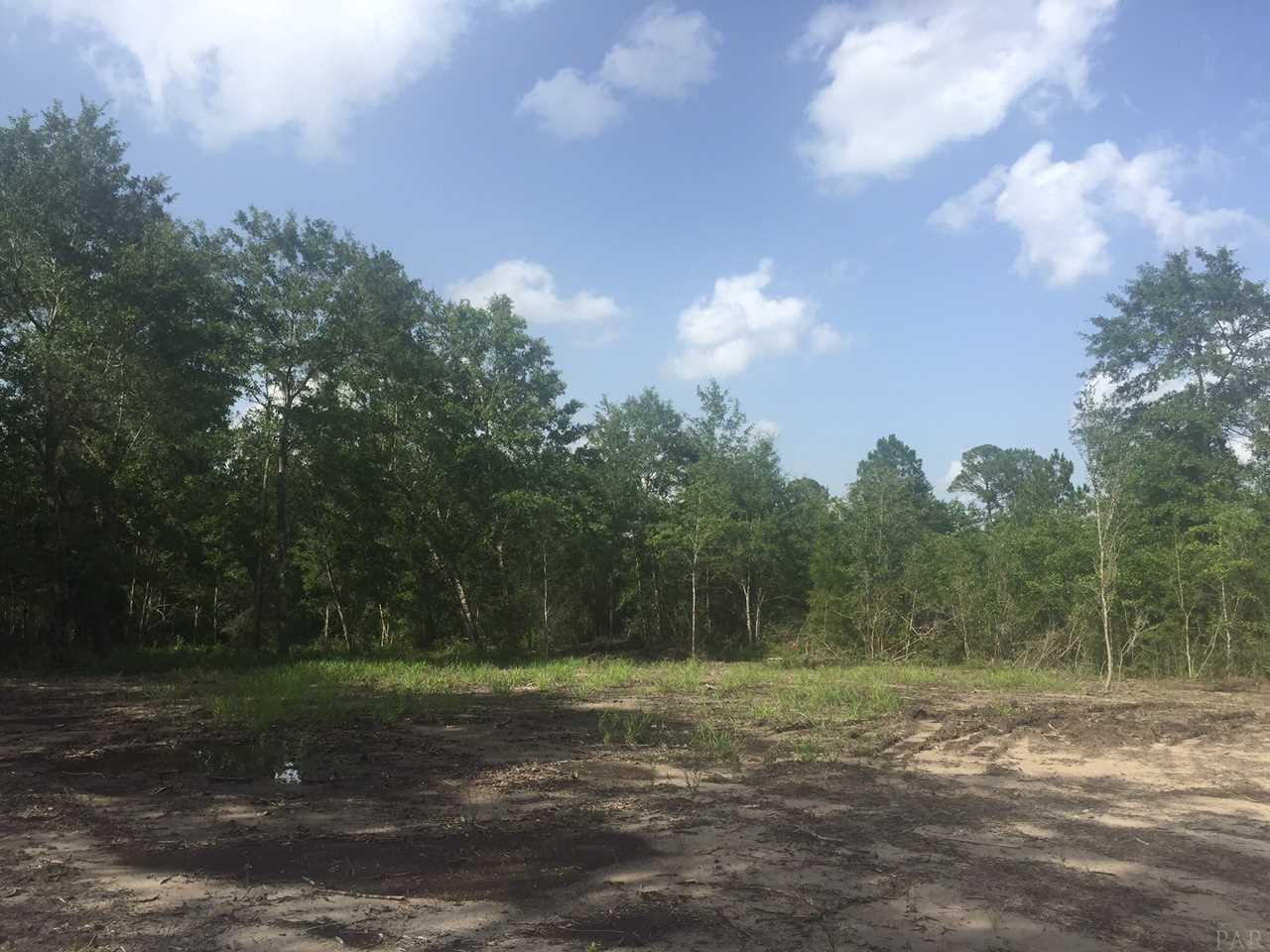 4.73-acres Martin Road Milton, FL 32570 - Photo 7 of 14 Gallery Image 7