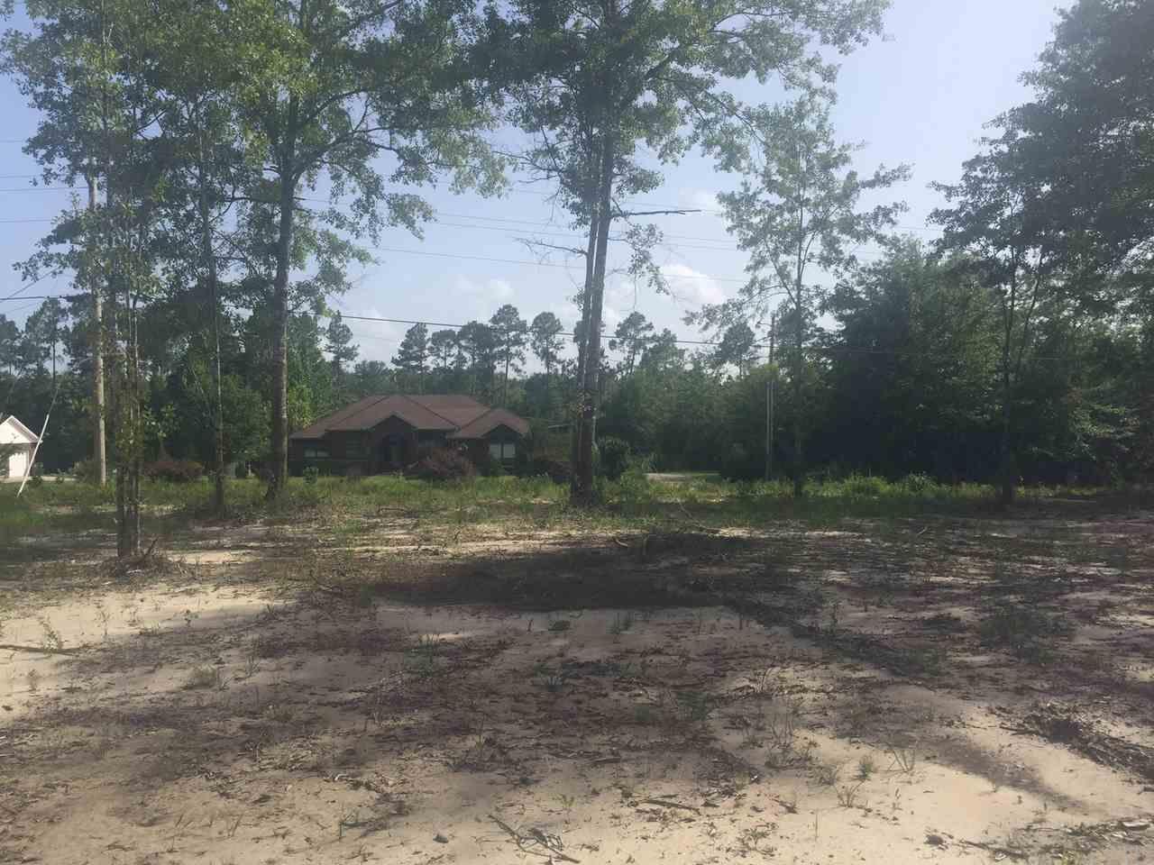 4.73-acres Martin Road Milton, FL 32570 - Photo 8 of 14 Gallery Image 8