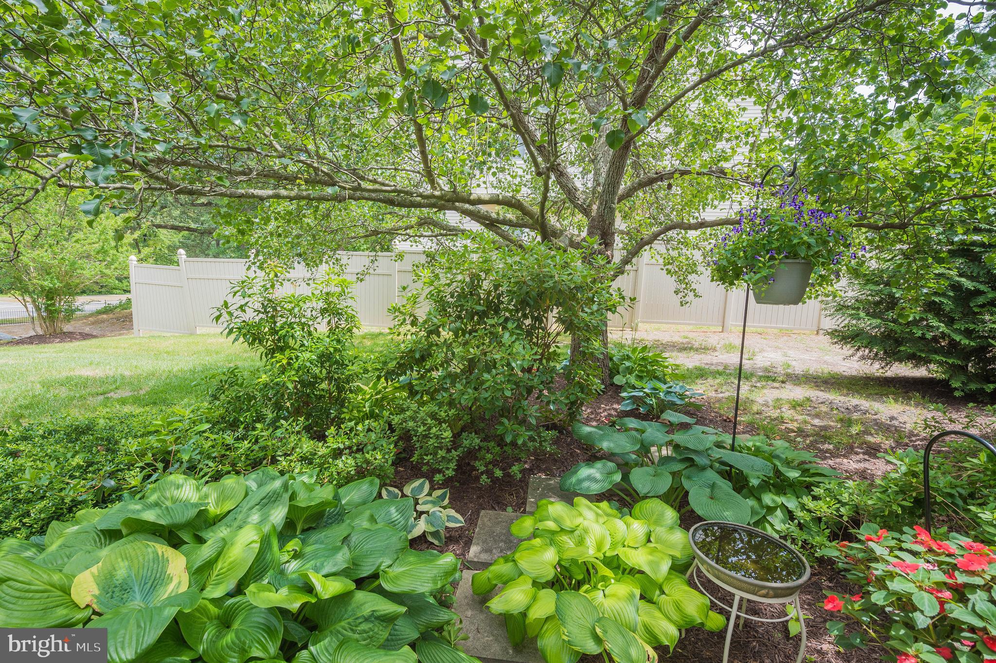 801 Riverside Drive, Unit 3 Salisbury, MD 21801 - Photo 43 of 49 Gallery Image 43