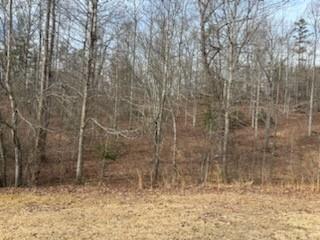 166 North Laceola Road Cleveland, GA 30528 - Photo 8 of 10 a view of a pathway