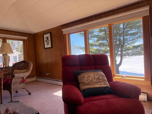45 Sandy Point Road Sinclair, ME 04779 - Photo 18 of 29 IMG_0308