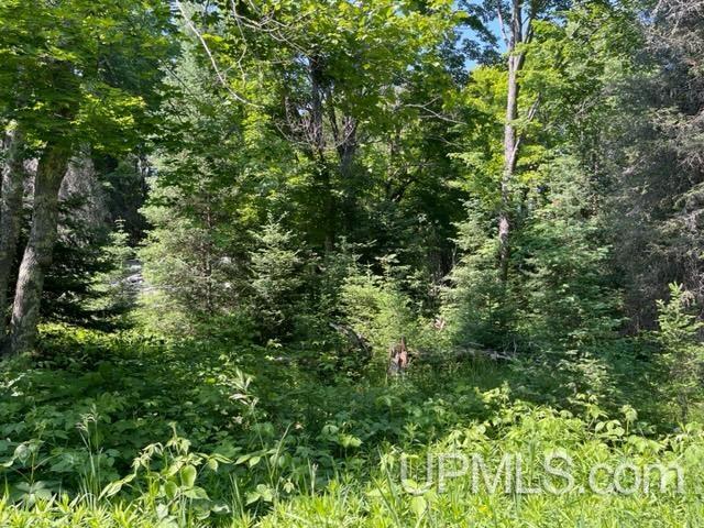 6304 Duck Lake Road Florence, WI 54121 - Photo 6 of 12
