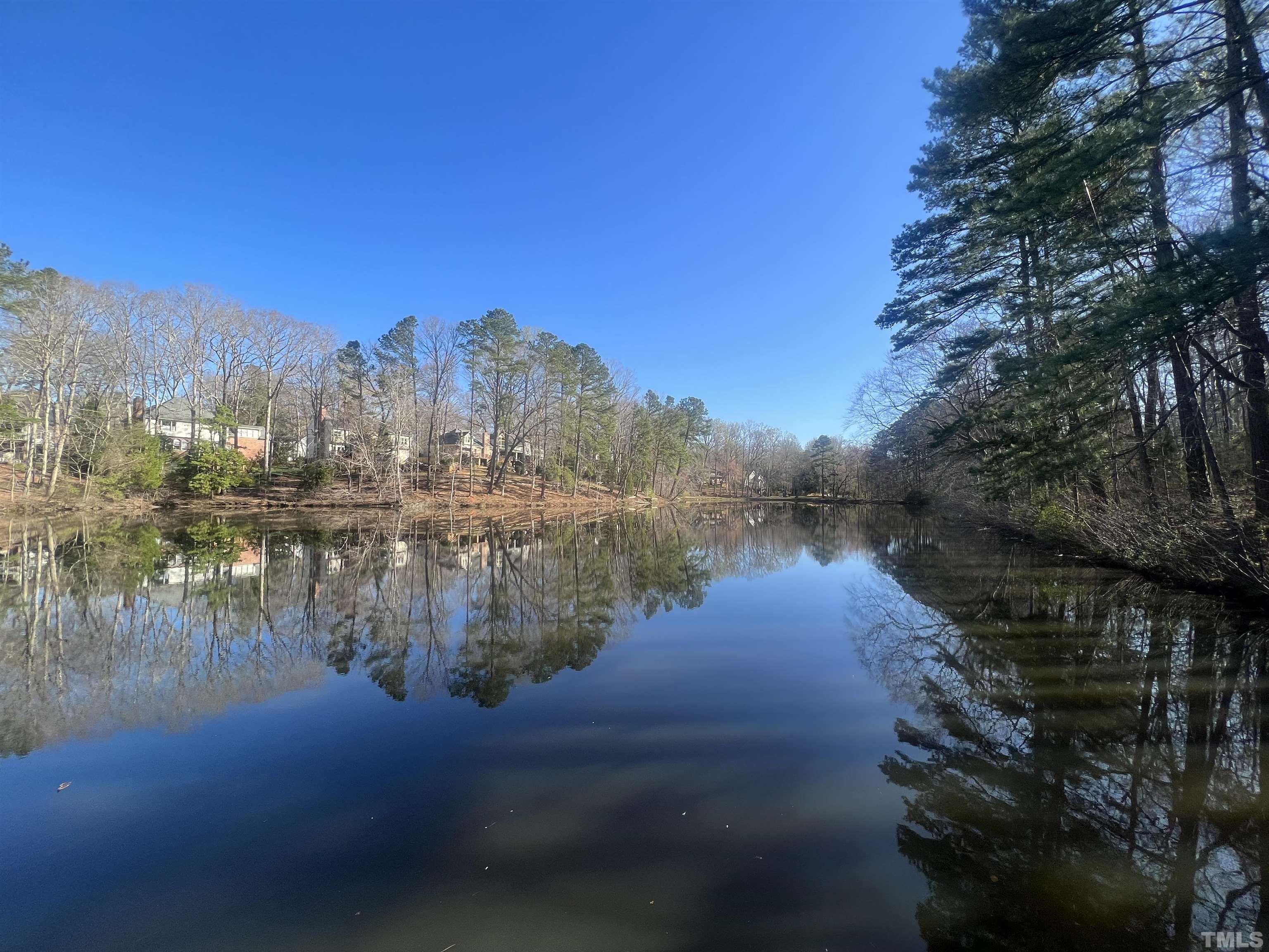 1014 Boathouse Court Raleigh, NC 27615 - Photo 36 of 41 a water view of river and trees