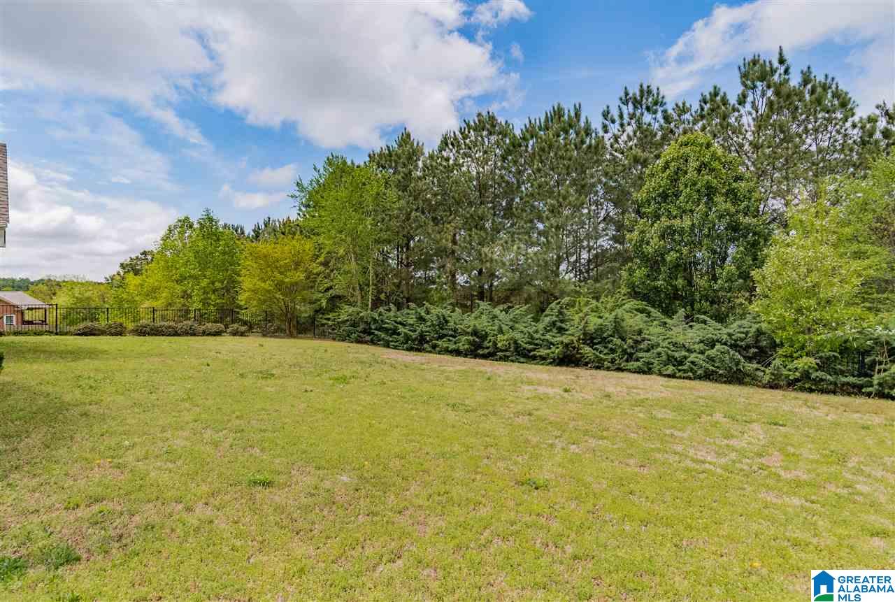 573 Overlook Road Fultondale, AL 35068 - Photo 43 of 45 Gallery Image 43