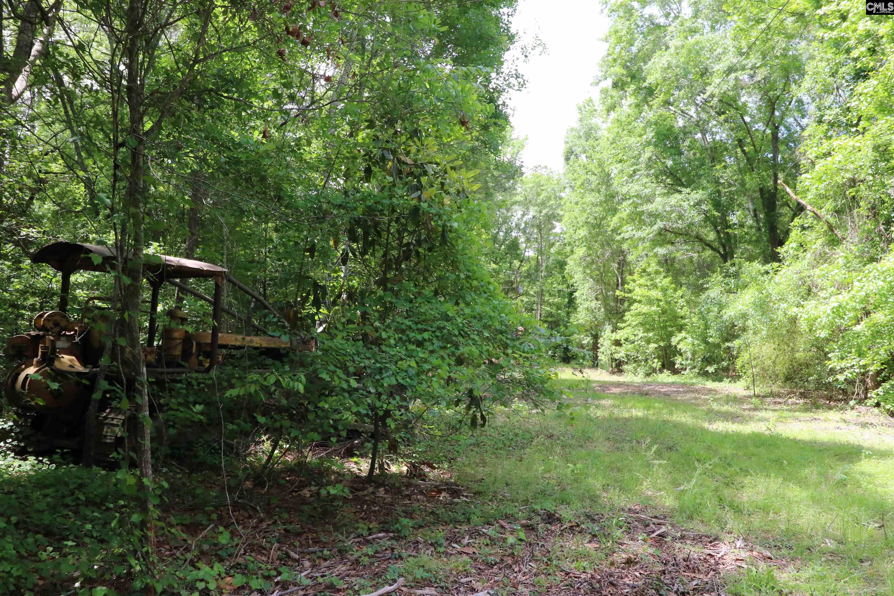 1091 Pine Grove Road Leesville, SC 29070 - Photo 6 of 19