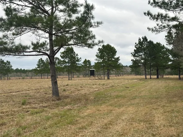 $1,054,000 | 1439 Farm To Market Road 770, Liberty, TX 77575