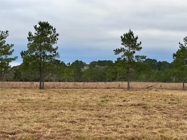 $1,054,000 | 1439 Farm To Market Road 770, Liberty, TX 77575