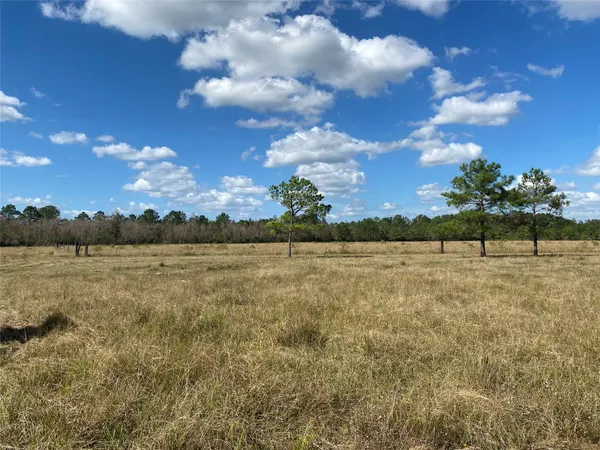 $1,054,000 | 1439 Farm To Market Road 770, Liberty, TX 77575