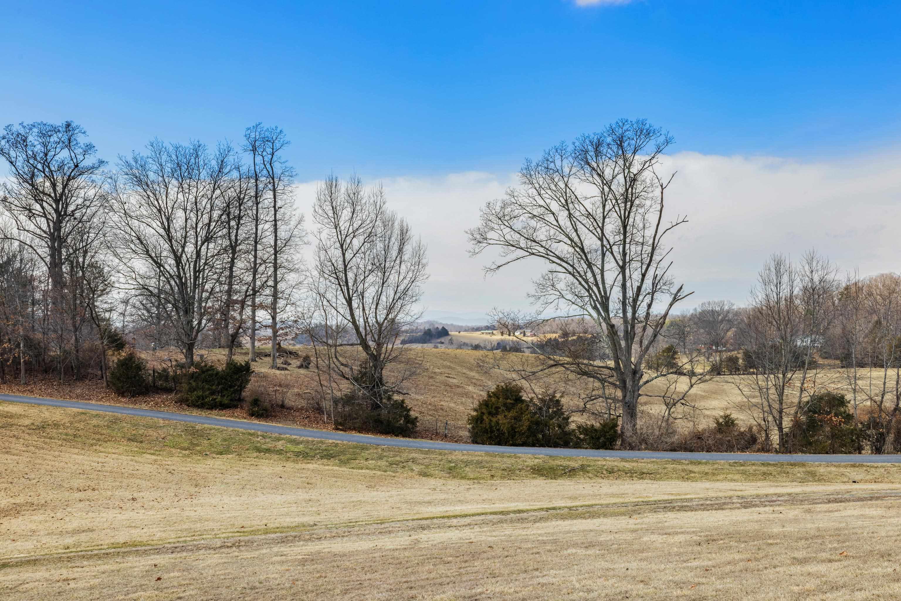 431 Mt Pisgah Road Mount Sidney, VA 24467 - Photo 4 of 72 a view of a yard with a house
