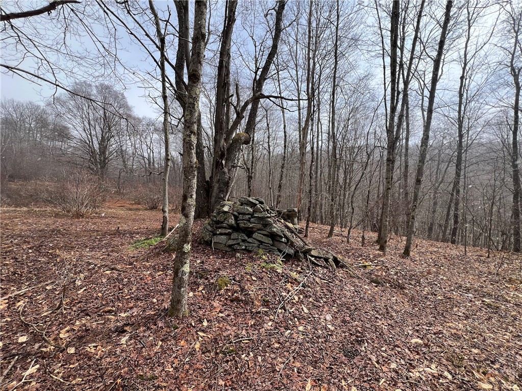 Upper Punchbowl Road Roscoe, NY 12776 - Photo 26 of 41