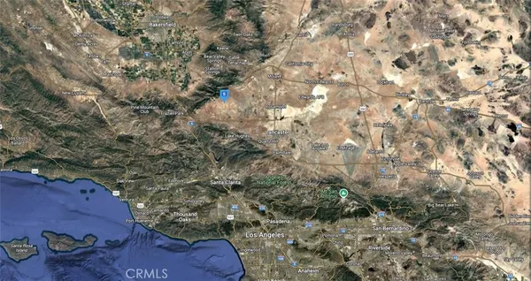 a view of a plants with large trees