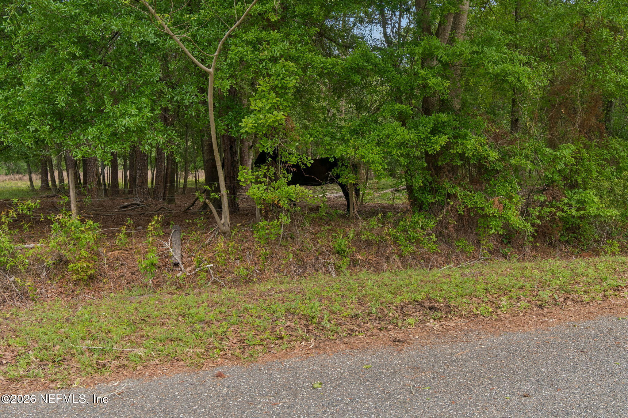 18098 Wells Road Jacksonville, FL 32234 - Photo 90 of 93 18098 Wells Rd