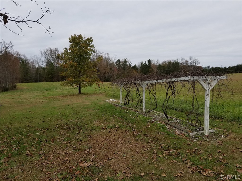 14500 Reed Rock Road Amelia Court House, VA 23002 - Photo 12 of 37 a view of a field with a tree