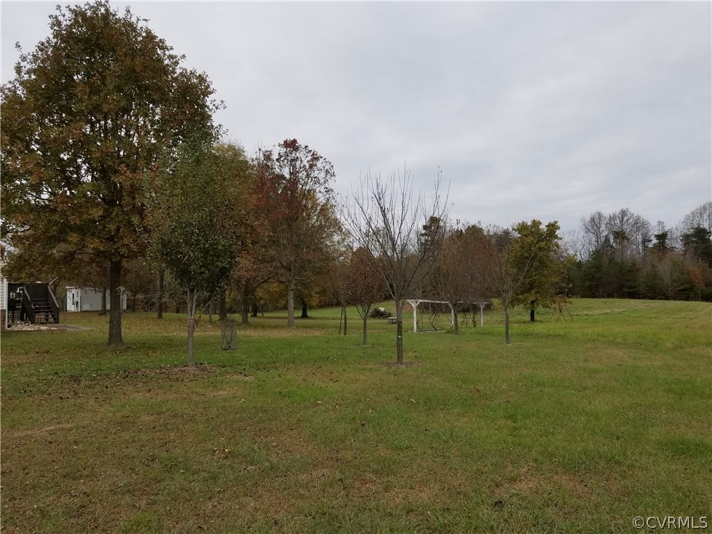 14500 Reed Rock Road Amelia Court House, VA 23002 - Photo 13 of 37 a view of large trees with a big yard