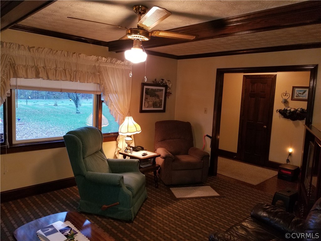 14500 Reed Rock Road Amelia Court House, VA 23002 - Photo 27 of 37 a living room with furniture and a floor to ceiling window