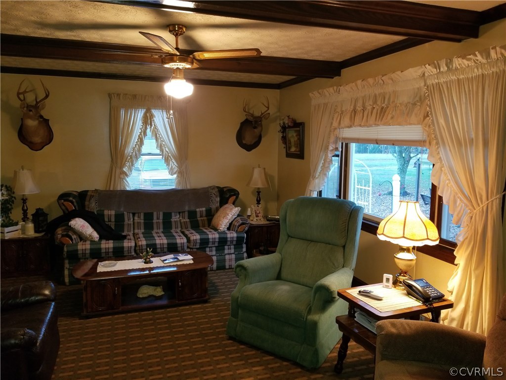 14500 Reed Rock Road Amelia Court House, VA 23002 - Photo 28 of 37 a living room with furniture and a fireplace