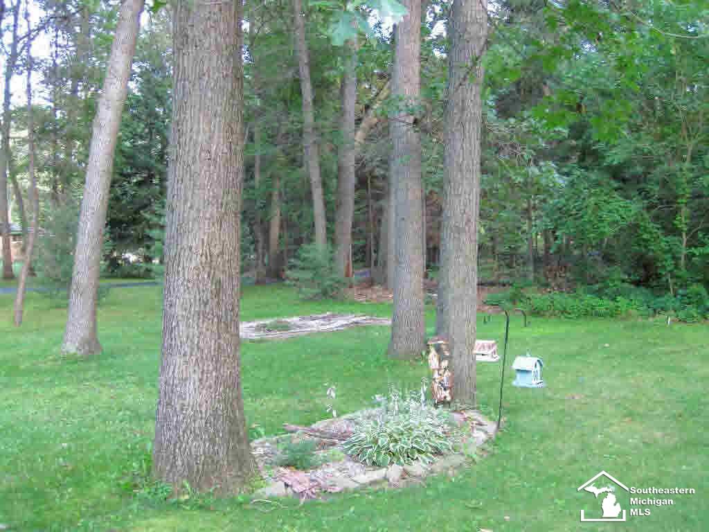 2833 Morocco Road Ida, MI 48140 - Photo 19 of 19