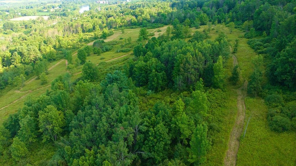 0 Tyler Street Bainbridge, NY 13733 - Photo 11 of 32