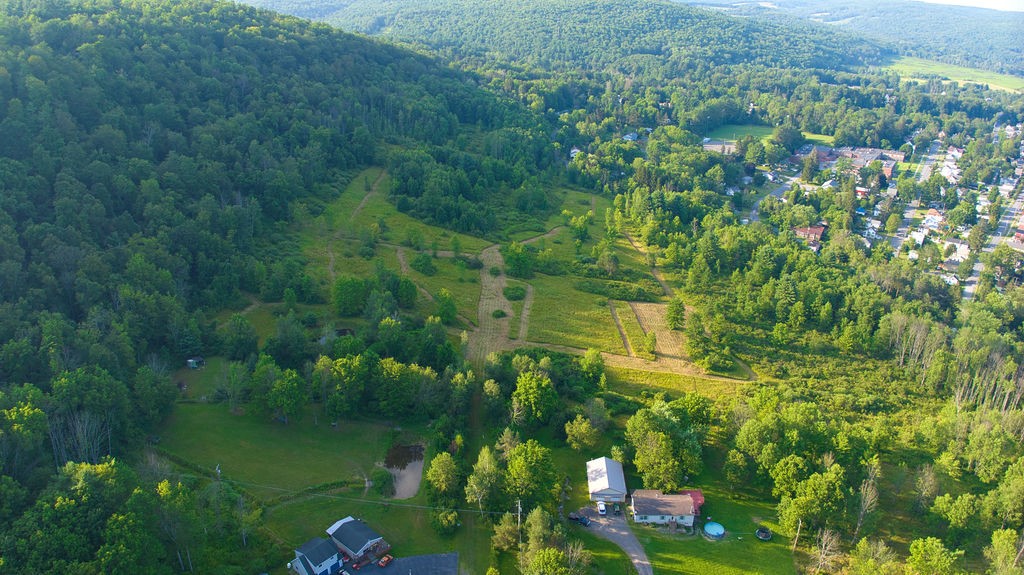 0 Tyler Street Bainbridge, NY 13733 - Photo 17 of 32