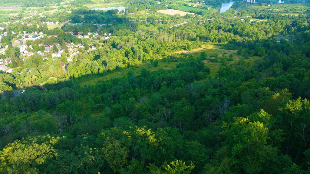 0 Tyler Street Bainbridge, NY 13733 - Photo 27 of 32