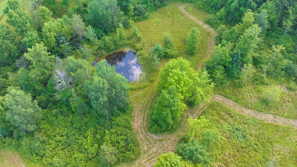 0 Tyler Street Bainbridge, NY 13733 - Photo 3 of 32