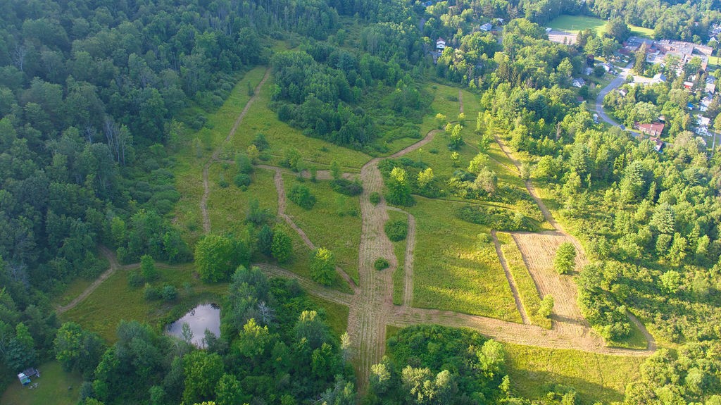 0 Tyler Street Bainbridge, NY 13733 - Photo 7 of 32