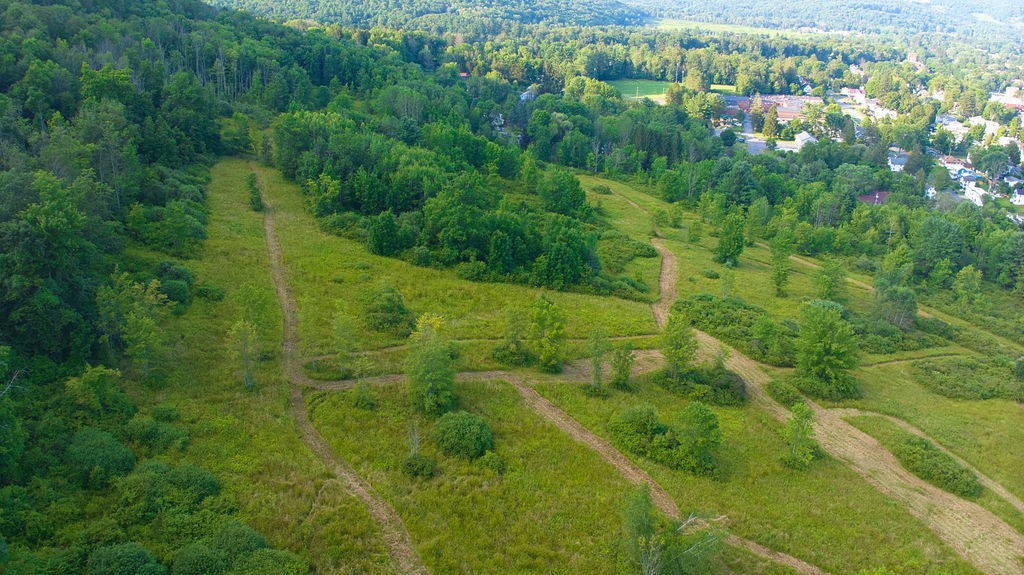 0 Tyler Street Bainbridge, NY 13733 - Photo 8 of 32