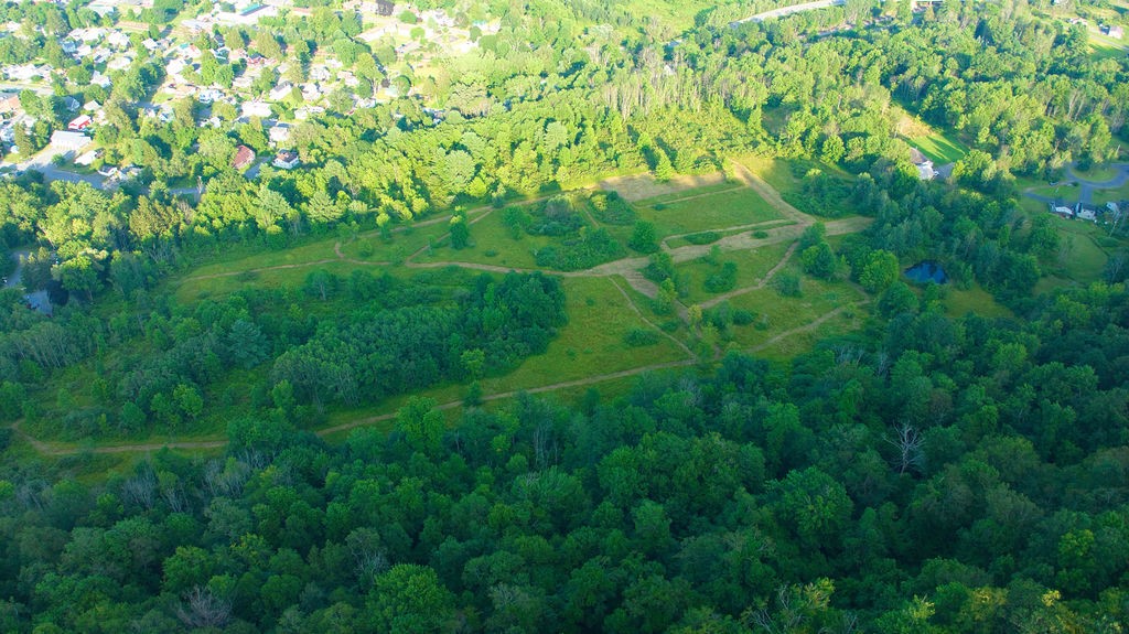 0 Tyler Street Bainbridge, NY 13733 - Photo 9 of 32