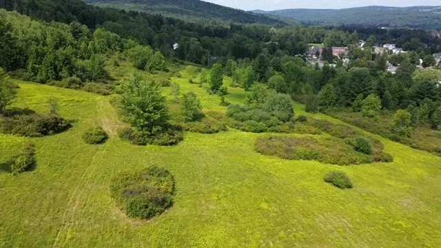 $189,900 | 0 Tyler Street, Bainbridge, NY 13733