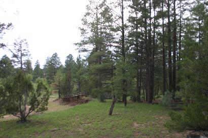 2917 Cedar Road, Unit 25A Heber, AZ 85928 - Photo 3 of 6 Additional Photo