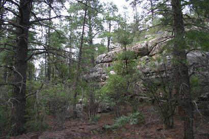 2917 Cedar Road, Unit 25A Heber, AZ 85928 - Photo 4 of 6 Additional Photo