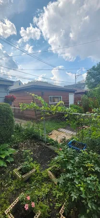 a view of a backyard with green space
