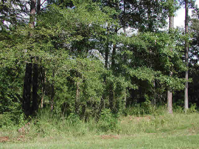 0 Warwick Road, Unit LOT 57 Clinton, MS 39056 - Photo 1 of 1 Photo 1