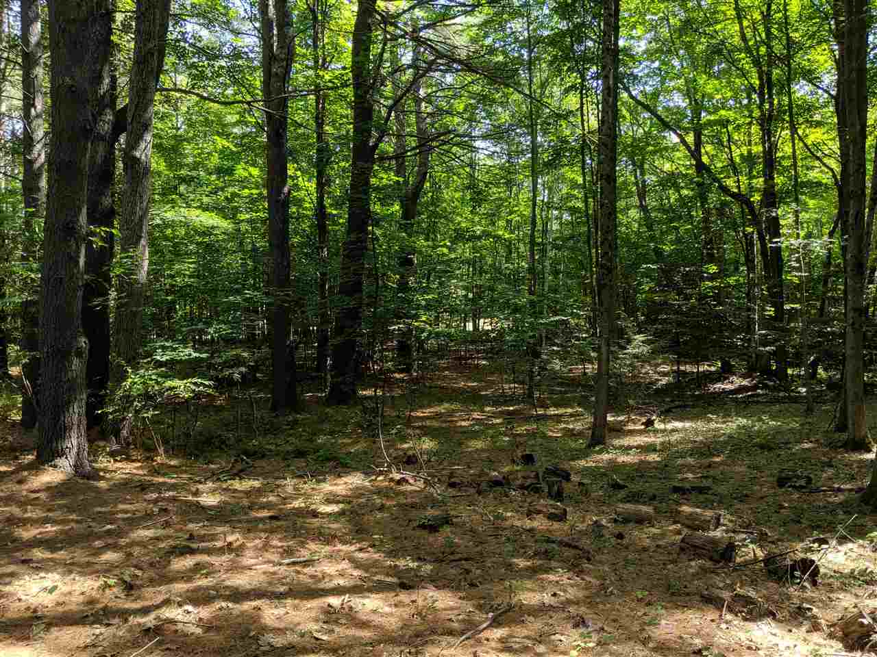 0 Prospect Mountain Road Alton, NH 03809 - Photo 3 of 7