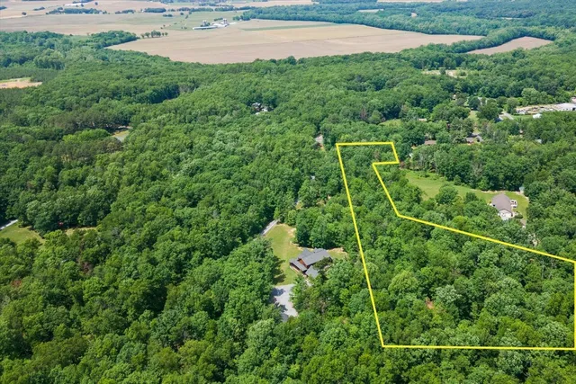 a backyard of a house with lots of green space and plants