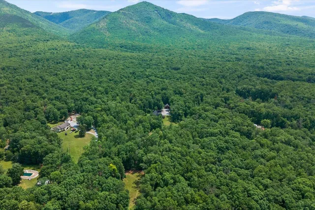 a view of a lush green forest with trees in the background