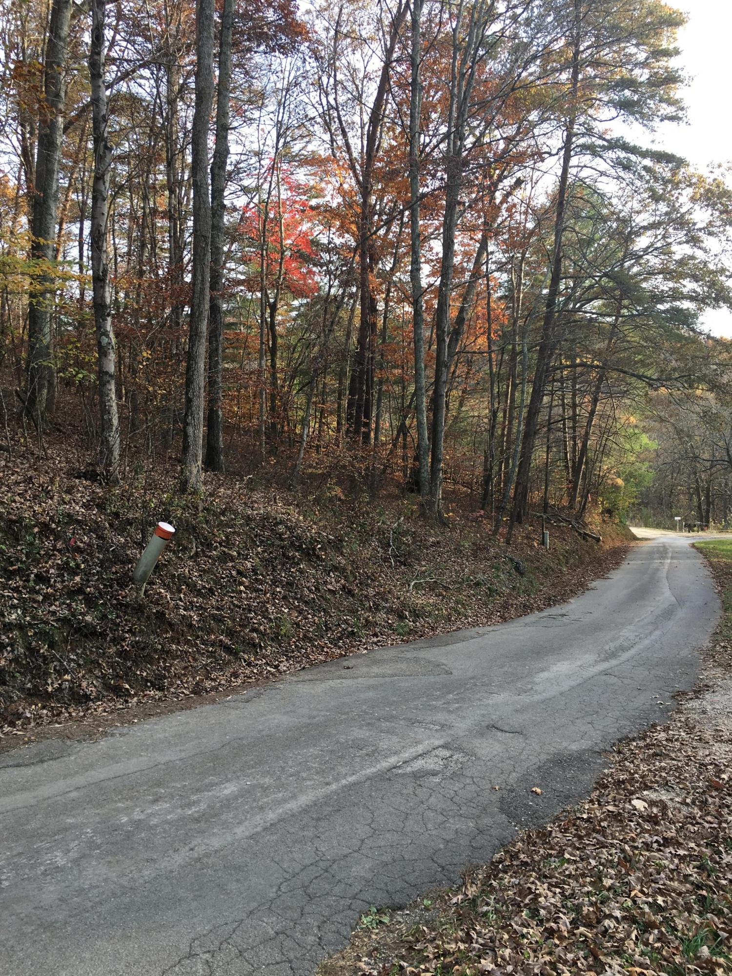 Echo Valley Road Rocky Top, TN 37769 - Photo 1 of 1 Echo Valley 1.54