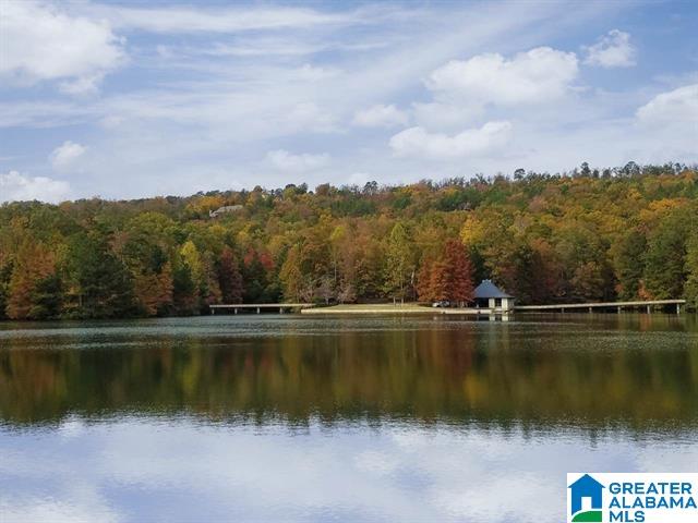 790 Cavalier Ridge, Unit 32 Birmingham, AL 35242 - Photo 7 of 43