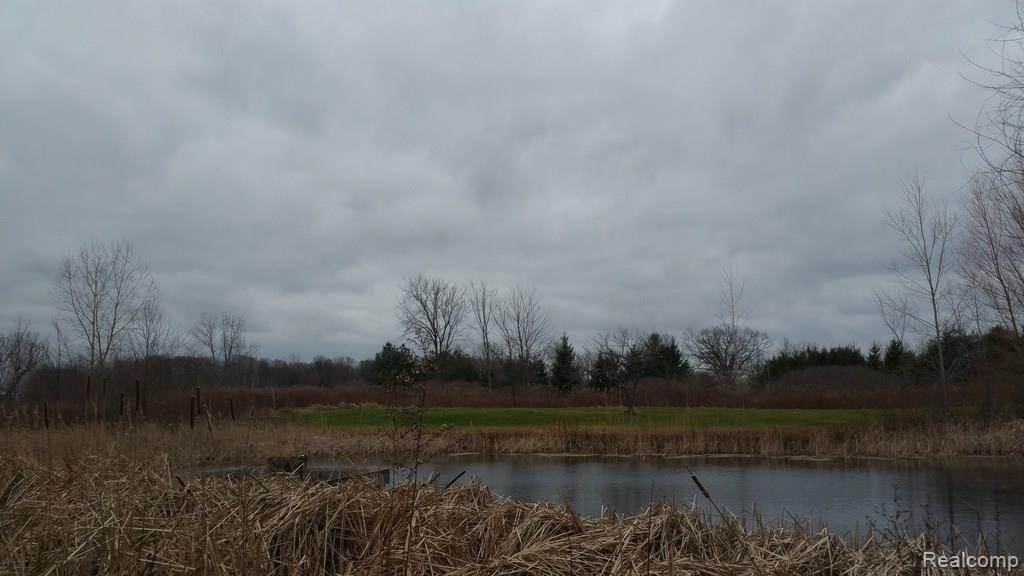 13725 Norman Road Yale, MI 48097 - Photo 4 of 22 C:\Users\JoAnn\Desktop\13725 Norman\6.jpg