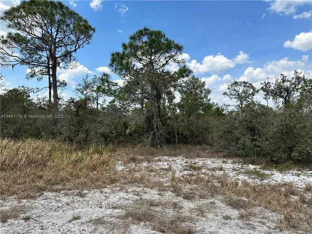 a view of a yard with trees