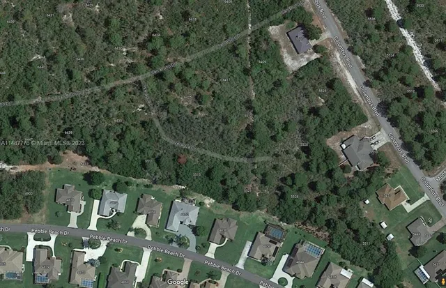 an aerial view of residential house with outdoor space and trees all around