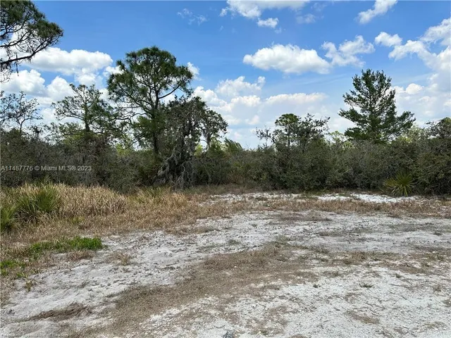 a view of a yard with a tree